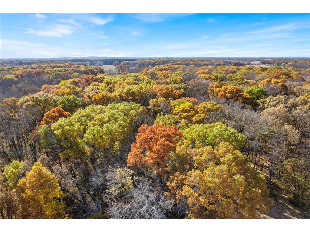 71xxx 165th Avenue SE Becker Twp MN 55308 7085677 image14