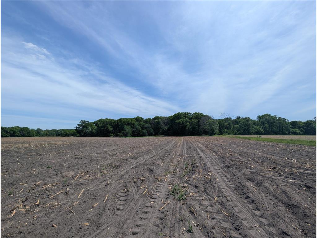 71xxx 165th Avenue SE Becker Twp MN 55308 7085677 image18