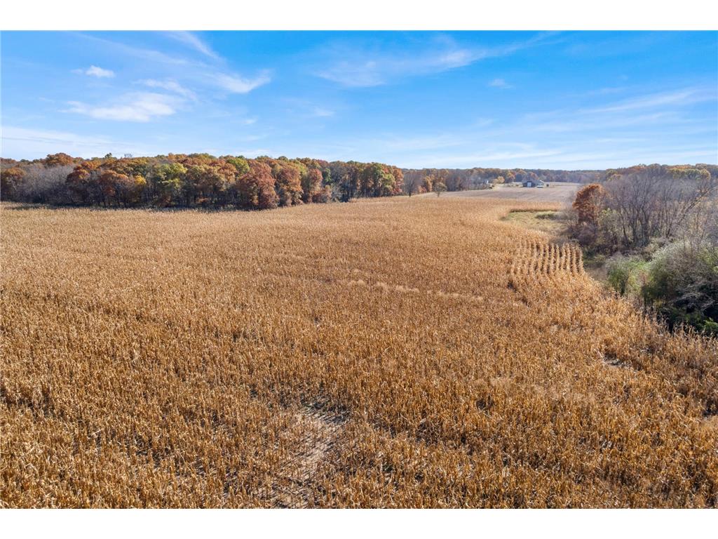 71xxx 165th Avenue SE Becker Twp MN 55308 7085677 image2