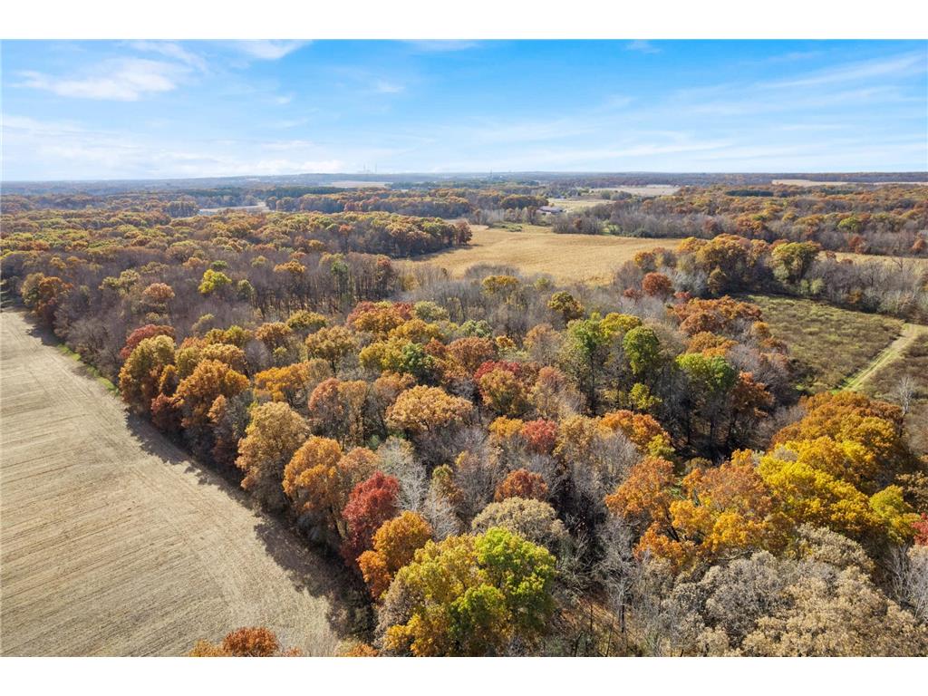 71xxx 165th Avenue SE Becker Twp MN 55308 7085677 image3