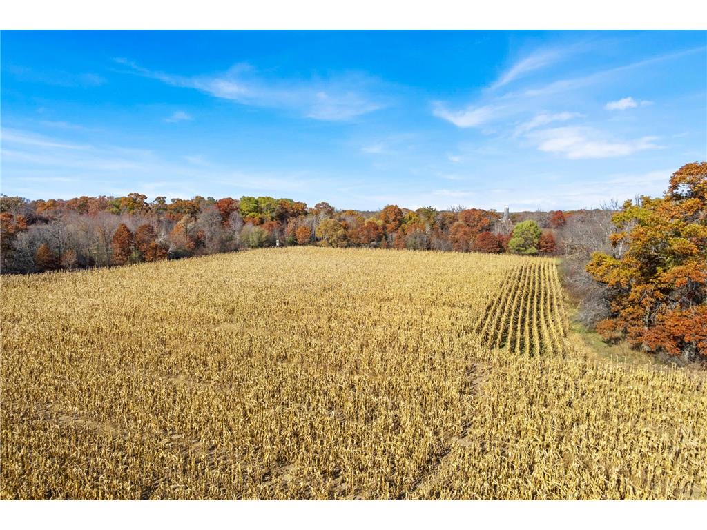 71xxx 165th Avenue SE Becker Twp MN 55308 7085677 image5