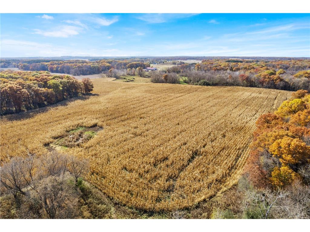 71xxx 165th Avenue SE Becker Twp MN 55308 7085677 image6