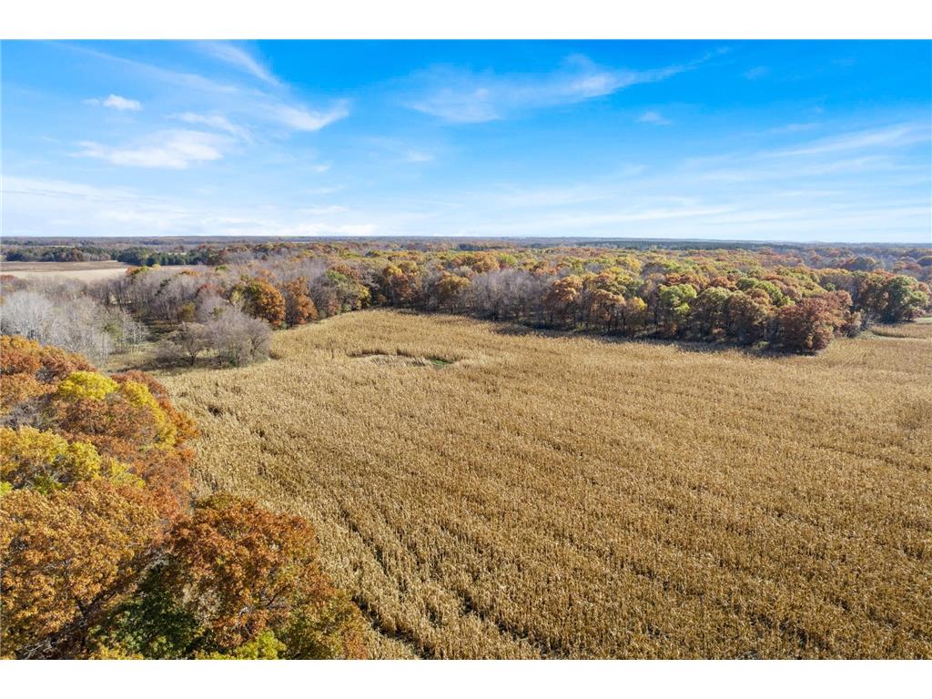 71xxx 165th Avenue SE Becker Twp MN 55308 7085677 image7