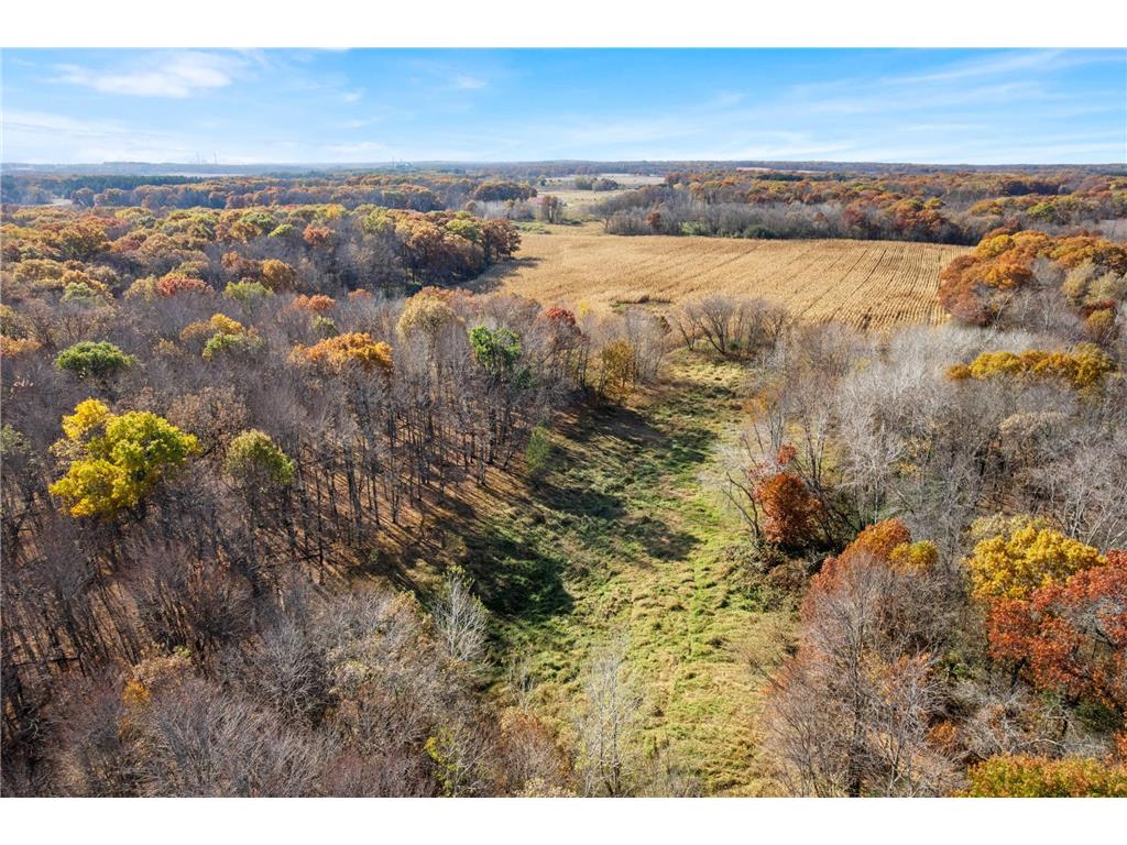 71xxx 165th Avenue SE Becker Twp MN 55308 7085677 image8