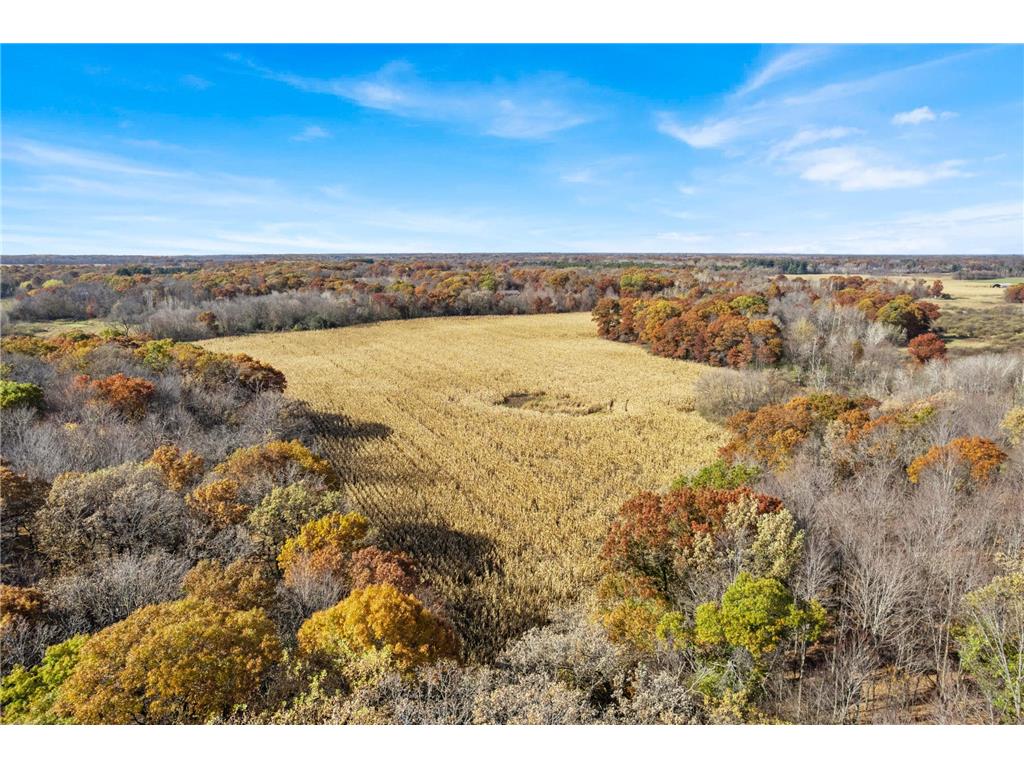71xxx 165th Avenue SE Becker Twp MN 55308 7085677 image9