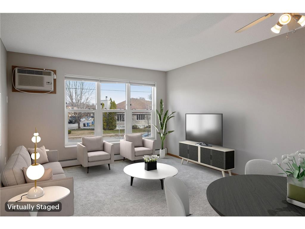 720 3rd Avenue NE #113 Minneapolis MN 55413 6383041 image1