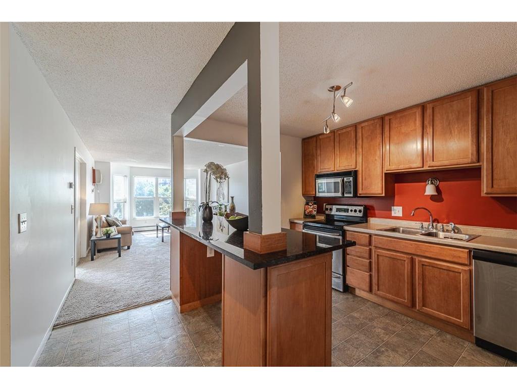 720 3rd Avenue NE #202 Minneapolis MN 55413 6625823 image1