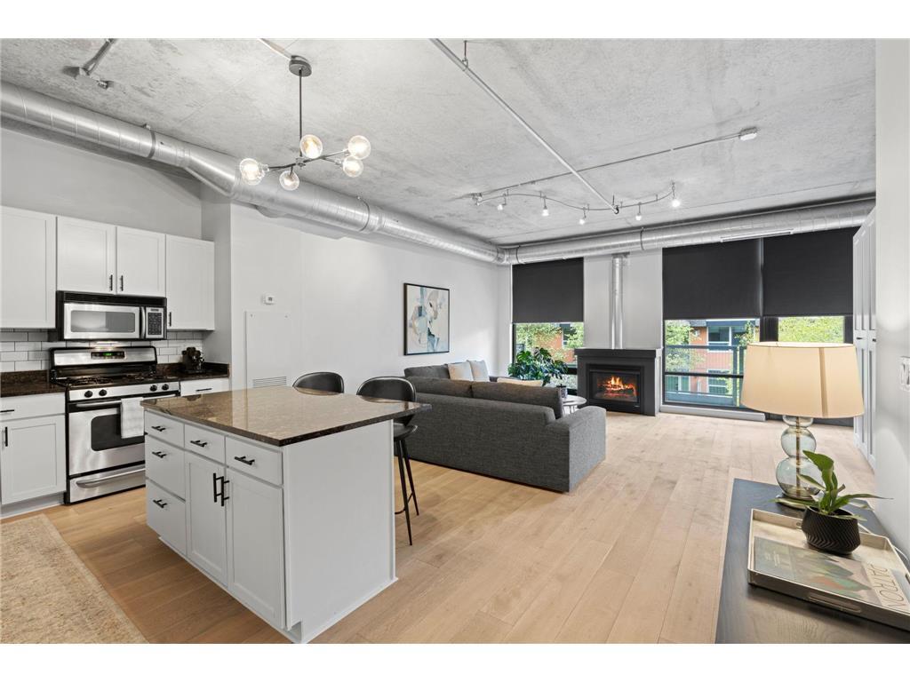 720 N 4th St #213 Minneapolis MN 55401 7087780 image1