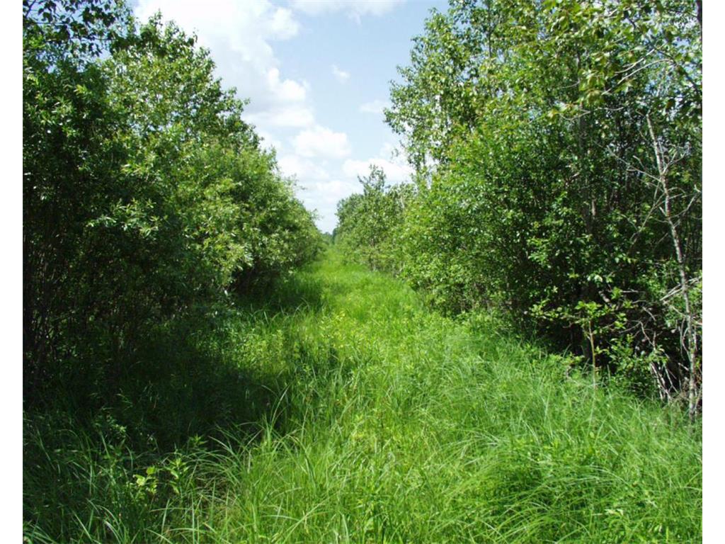 72001 NW Dicks Parkway Grygla MN 56727 6761968 image1
