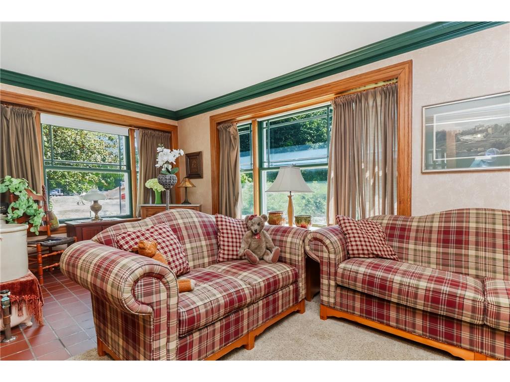 721 6th Avenue E Alexandria MN 56308 7103884 image65