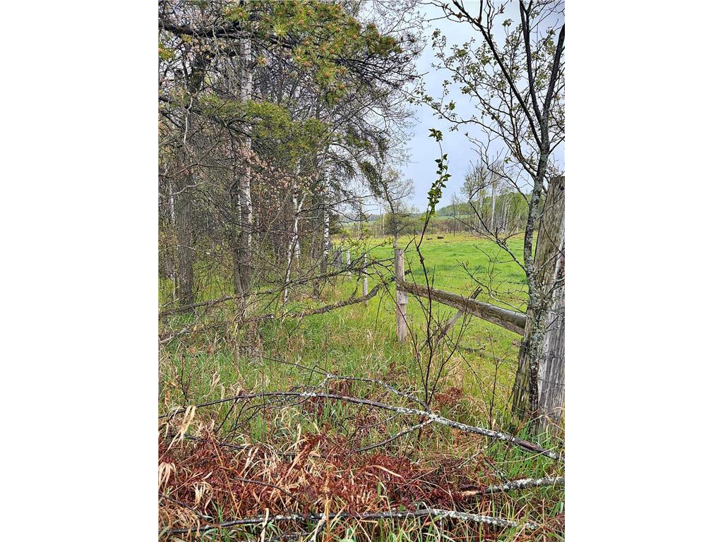 7210 79th Avenue SW Byron Twp MN 56479 7079323 image27