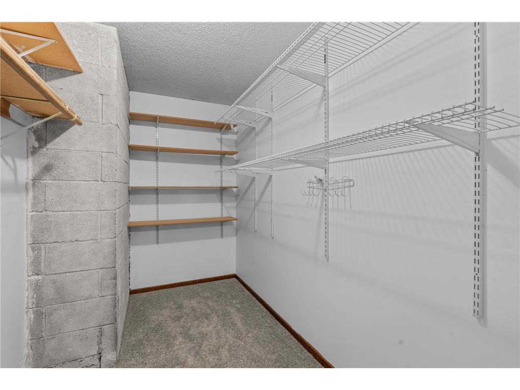 722 Parkview Lane N Champlin MN 55316 7049494 image36