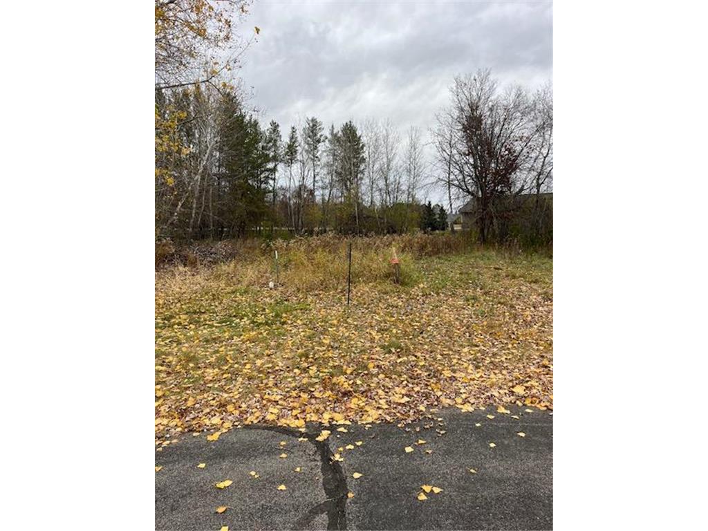 7223 Fox Place Baxter MN 56425 6625358 image1