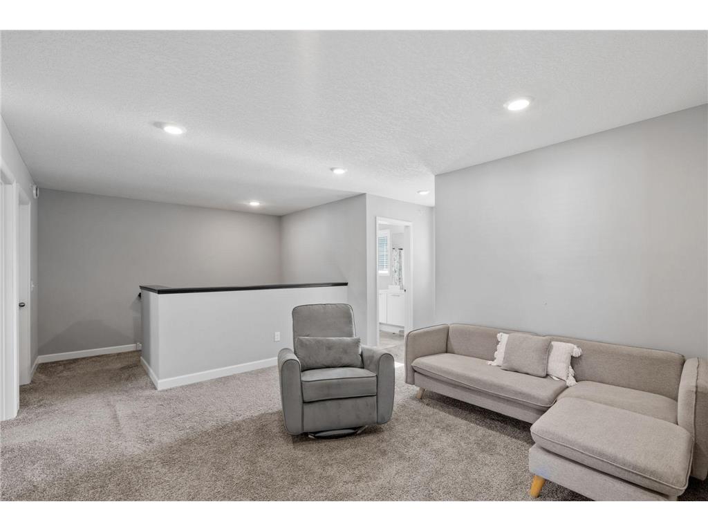 7229 Dora Drive Hugo MN 55038 7066126 image15