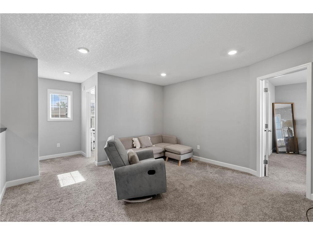 7229 Dora Drive Hugo MN 55038 7066126 image16