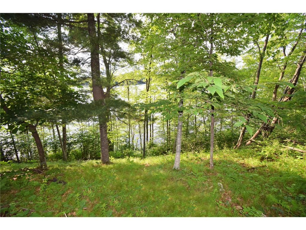7230 County Road U Danbury WI 54830 - Fremstadt Lake 7103684 image6