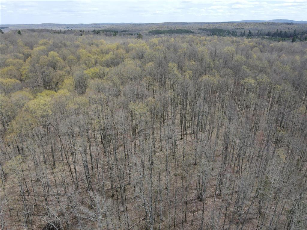 72303 Pufal Road Morse Twp WI 54846 7025471 image58