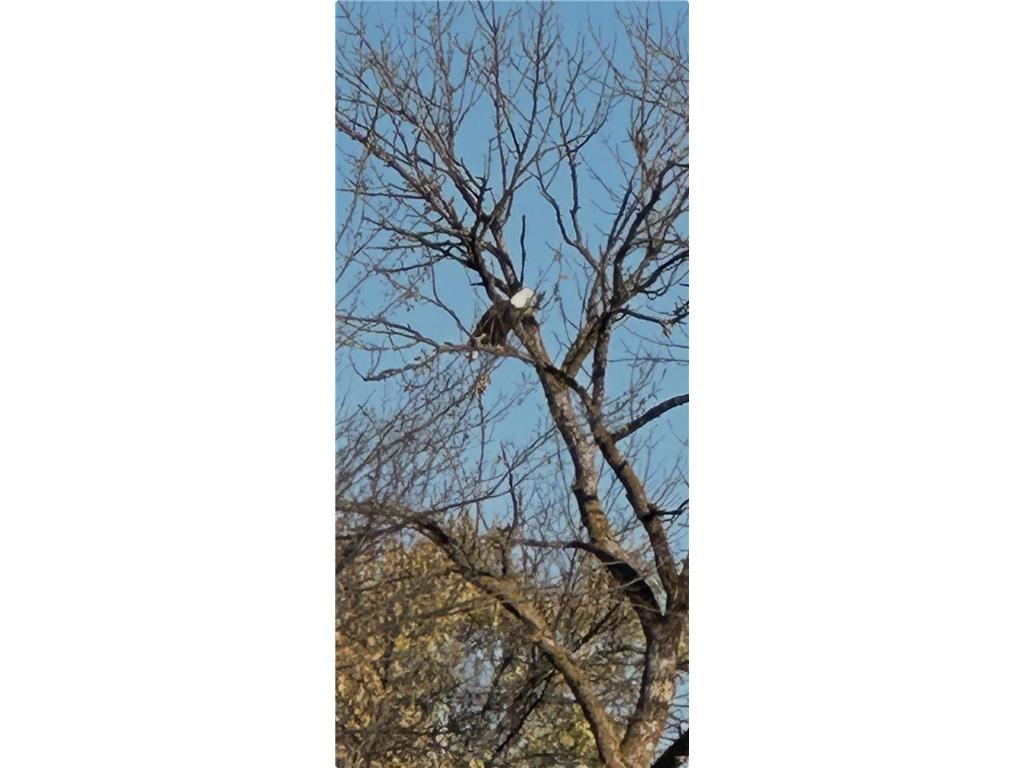 7239 River Road Chester IA 52134 6821448 image10