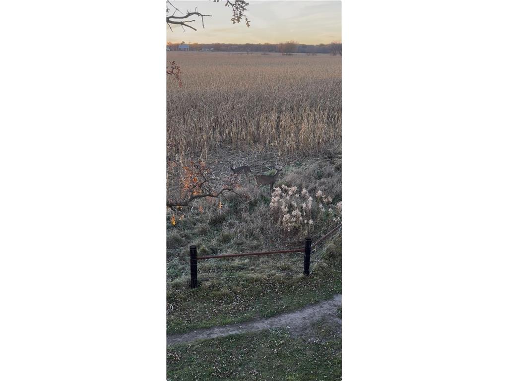 7239 River Road Chester IA 52134 6821448 image11