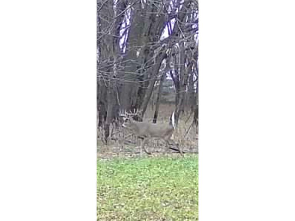 7239 River Road Chester IA 52134 6821448 image7