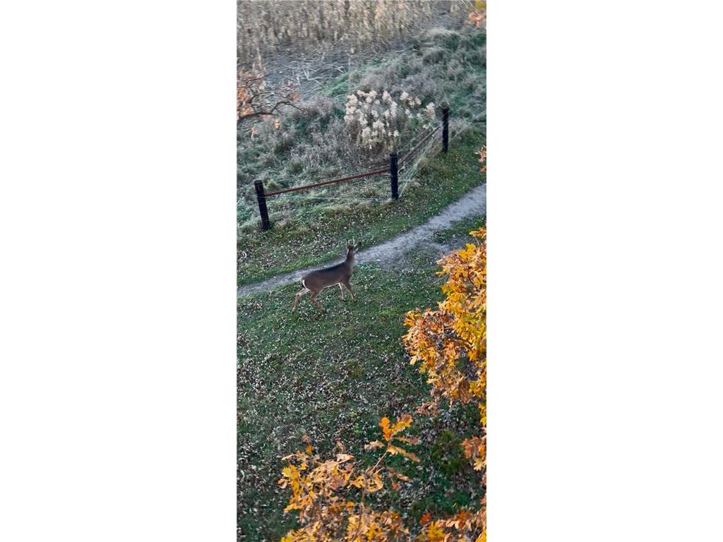 7239 River Road Chester IA 52134 6821448 image8