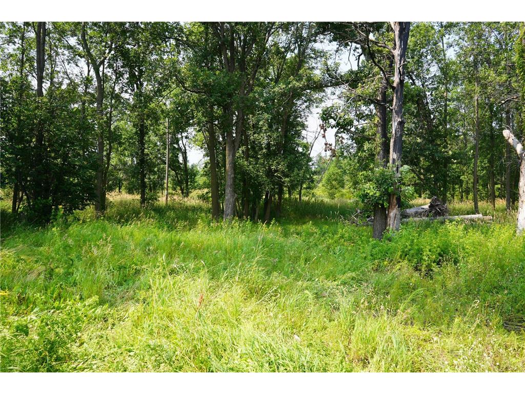 7241 US Highway 169 Garrison Twp MN 56450 - Mille Lacs Lake 7078639 image12