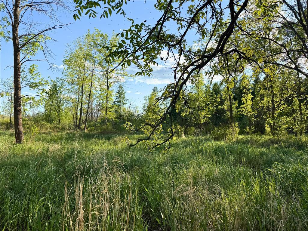 7241 US Highway 169 Garrison Twp MN 56450 - Mille Lacs Lake 7078639 image15