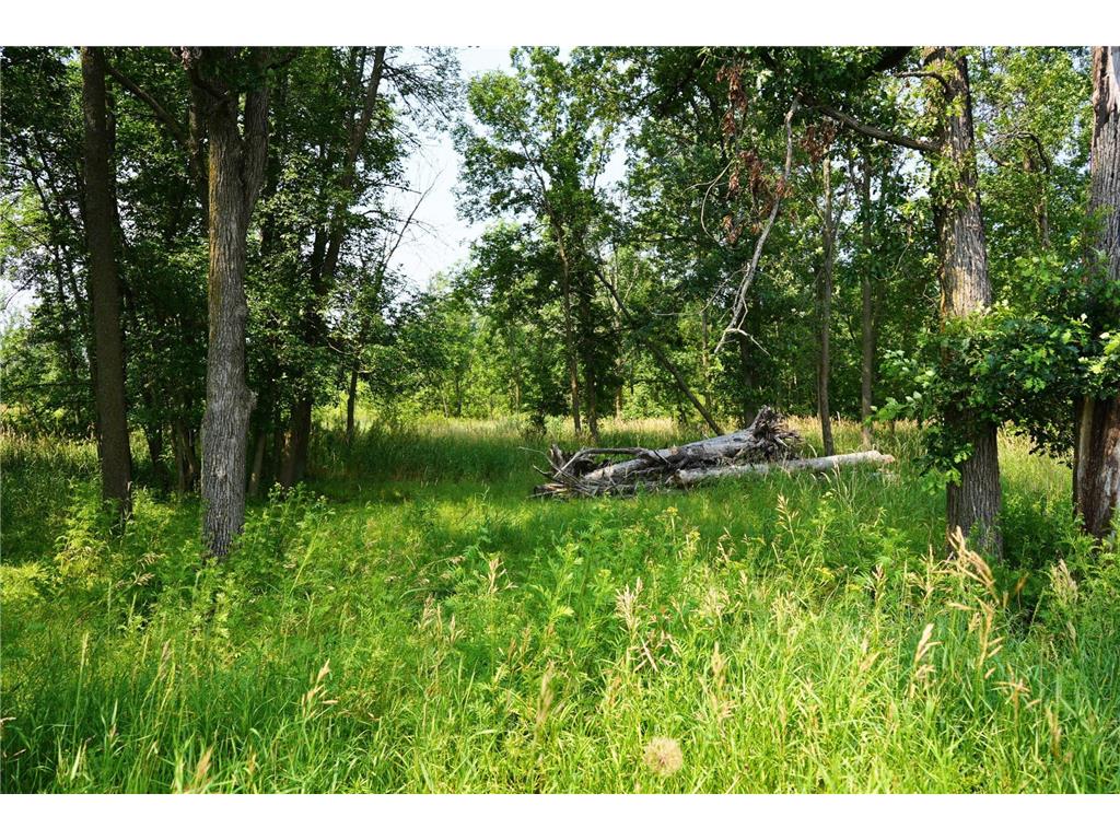7241 US Highway 169 Garrison Twp MN 56450 - Mille Lacs Lake 7078639 image16