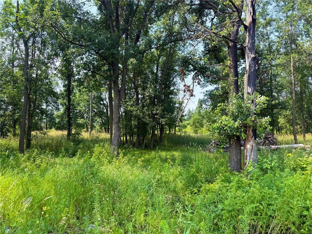 7241 US Highway 169 Garrison Twp MN 56450 - Mille Lacs Lake 7078639 image3
