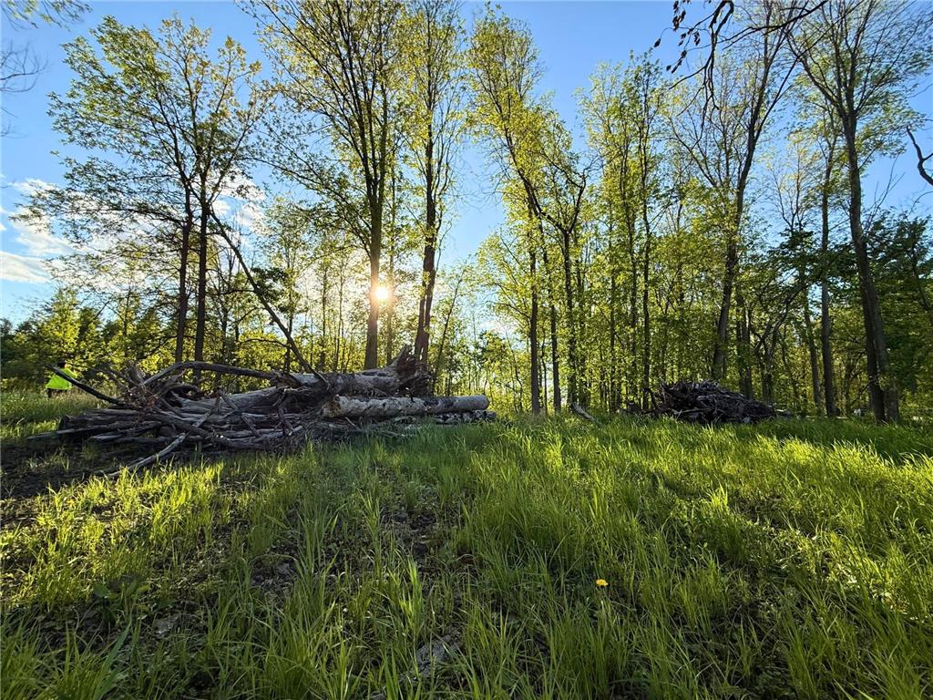 7241 US Highway 169 Garrison Twp MN 56450 - Mille Lacs Lake 7078639 image5