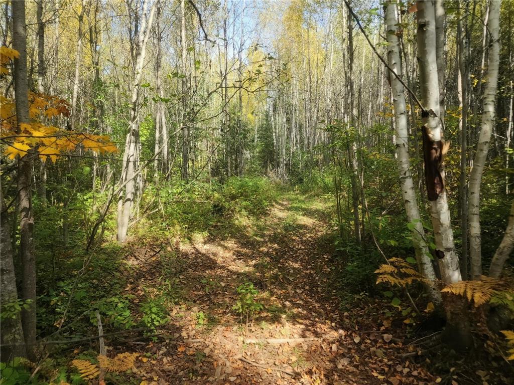TBD Bear Lake Road Chippewa Twp WI 54514 6798514 image1