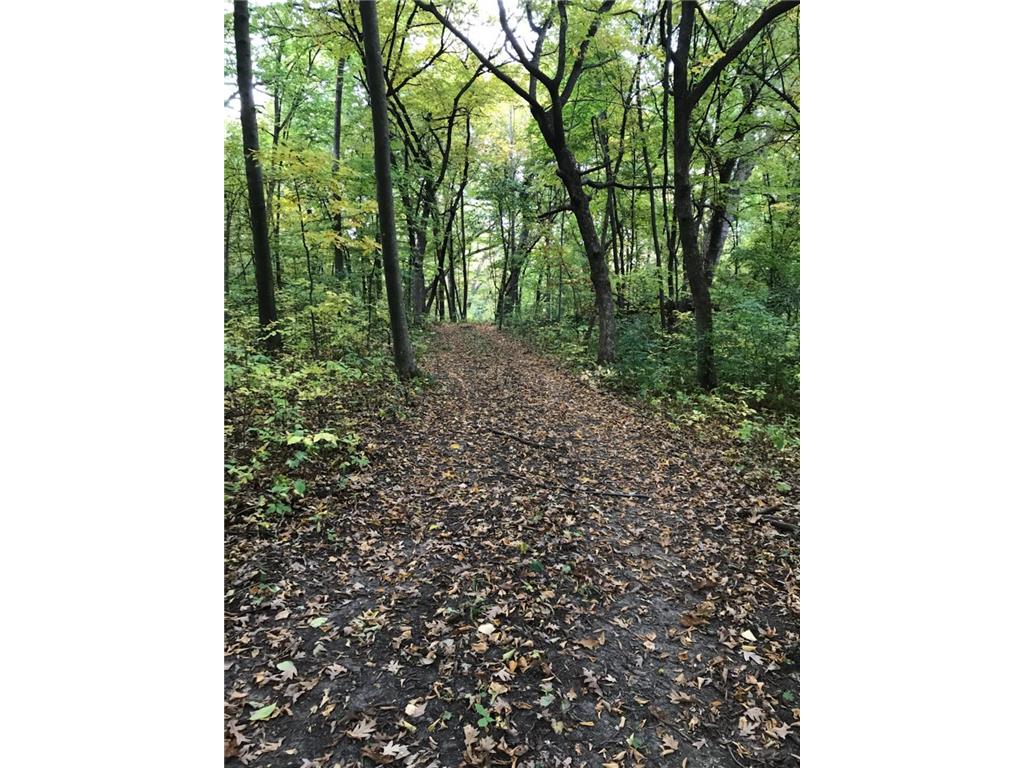 7243 Hazelwood Avenue Webster Twp MN 55057 6476414 image84