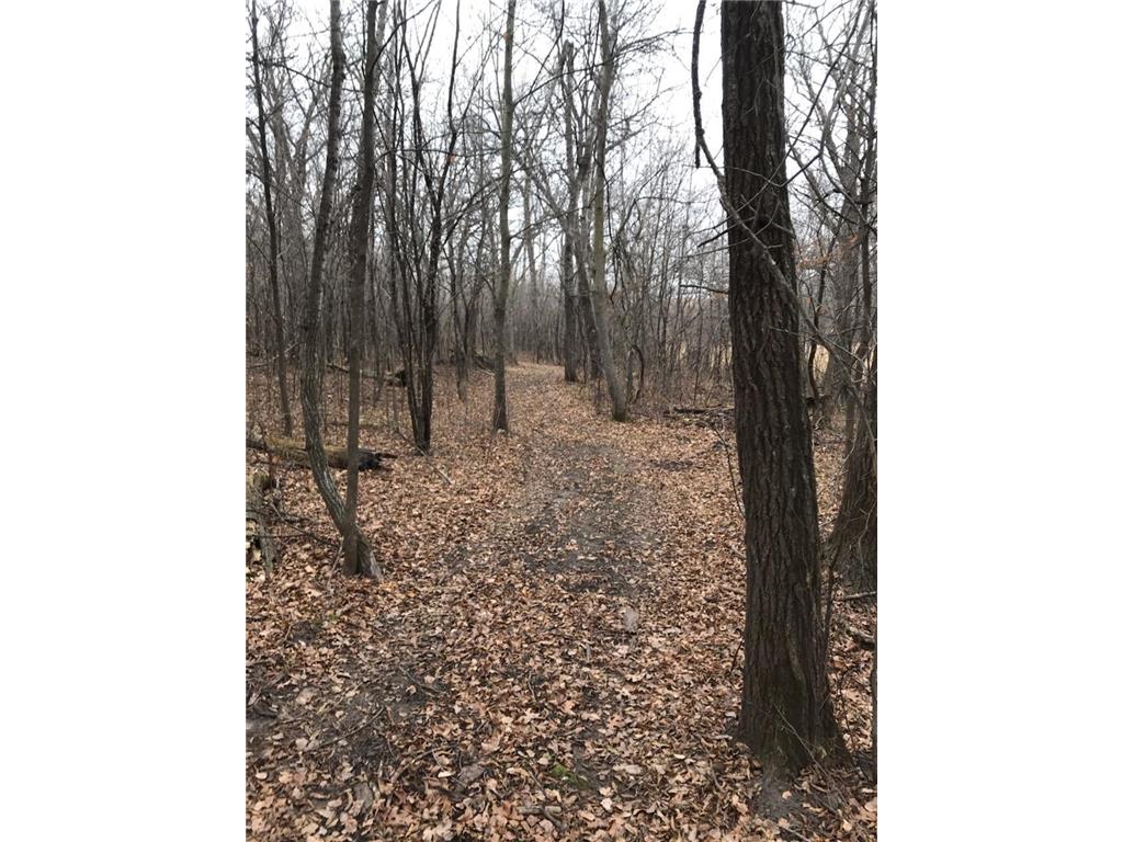 7243 Hazelwood Avenue Webster Twp MN 55057 6476414 image85