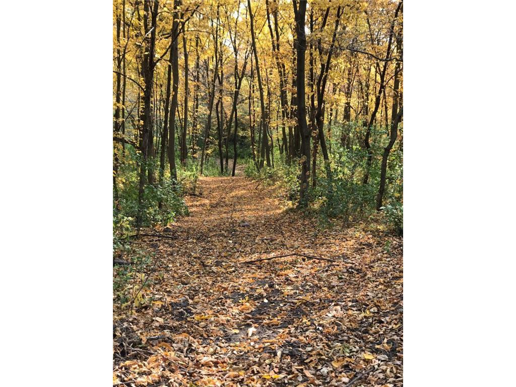 7243 Hazelwood Avenue Webster Twp MN 55057 6476414 image86