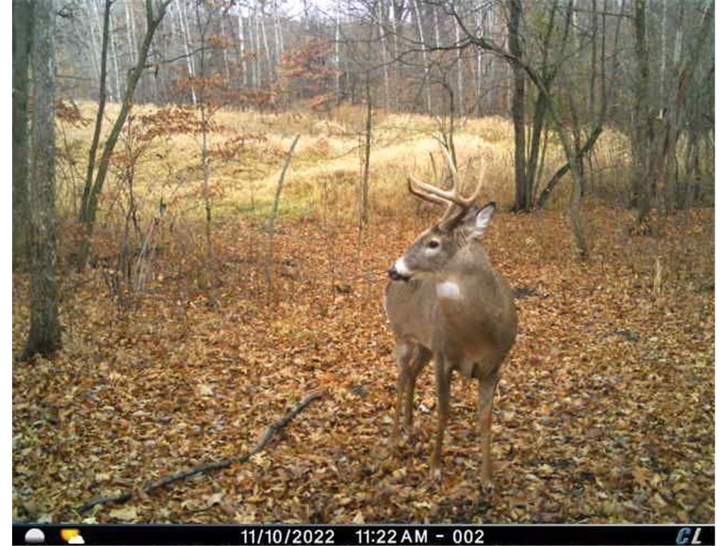 7243 Hazelwood Avenue Webster Twp MN 55057 6476414 image90