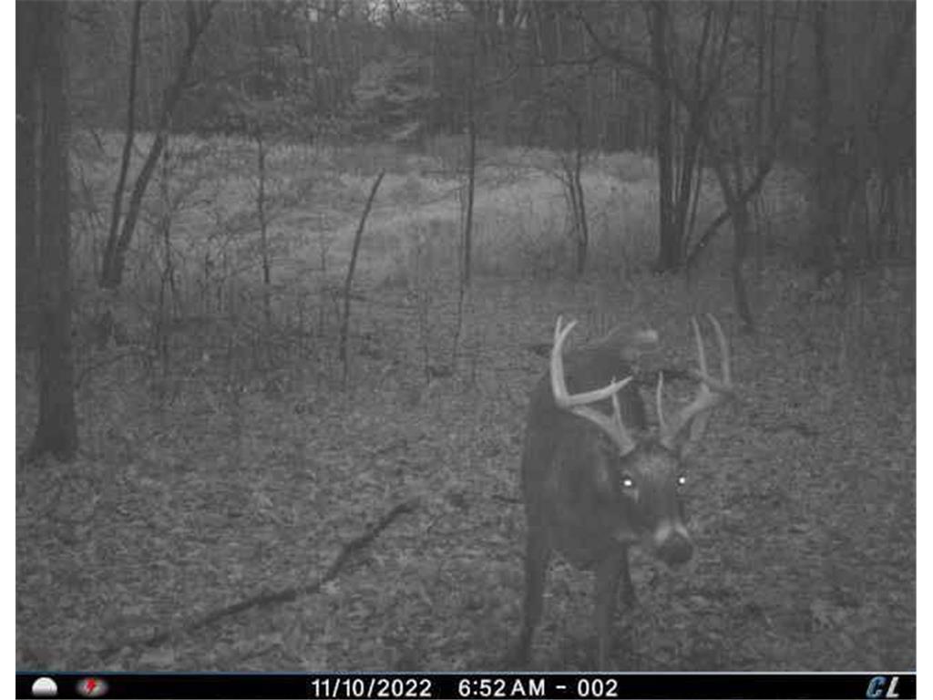 7243 Hazelwood Avenue Webster Twp MN 55057 6476414 image91