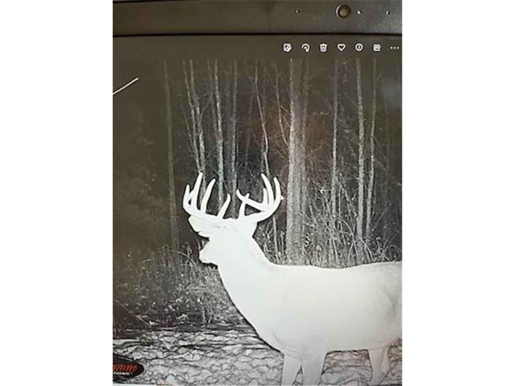 7243 Hazelwood Avenue Webster Twp MN 55057 6476414 image92