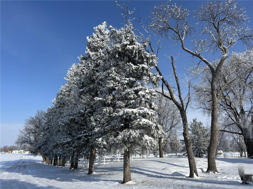 725 110th Street Manyaska Twp MN 56171 6822760 image23