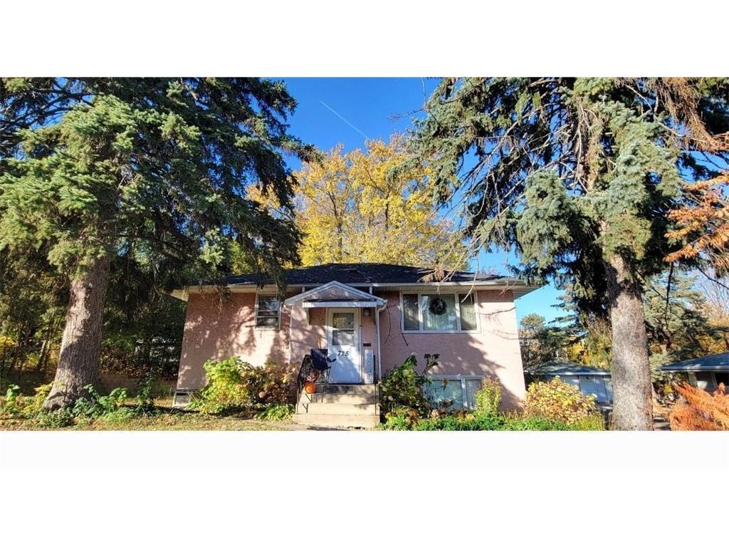 725-727 Hall Avenue Saint Paul MN 55107 6632331 image1