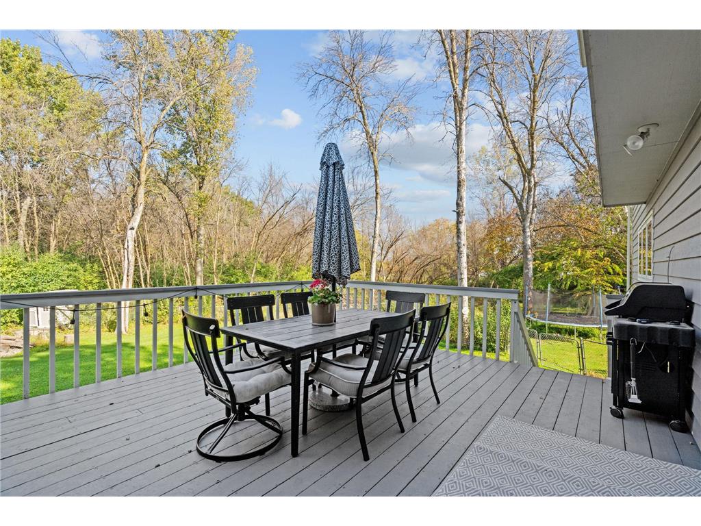 725 Dickey Lake Drive Orono MN 55356 6803113 image19