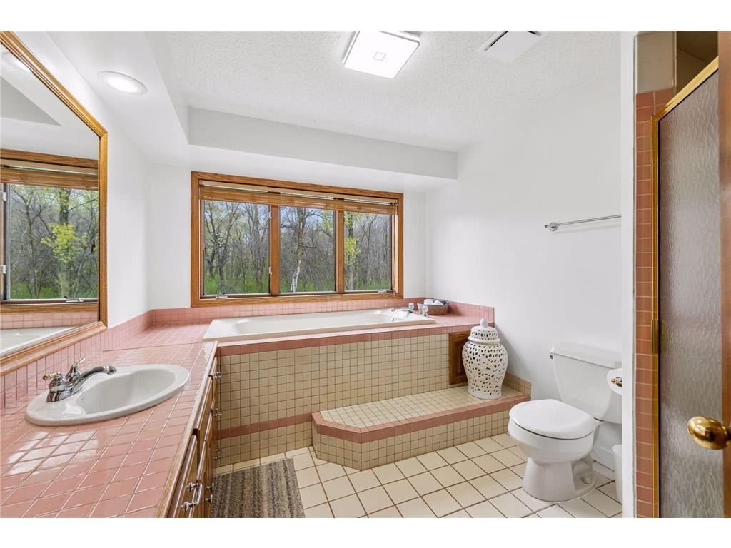 725 Dickey Lake Drive Orono MN 55356 6803113 image30