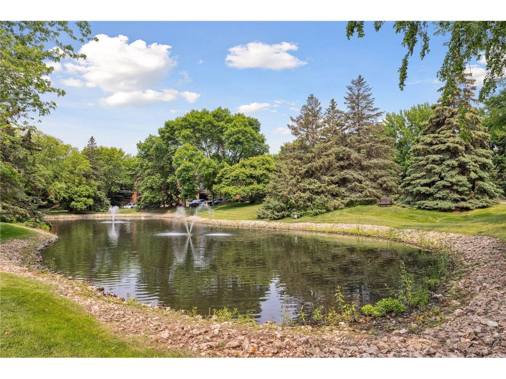 7250 Lewis Ridge Parkway #102 Edina MN 55439 6754669 image42