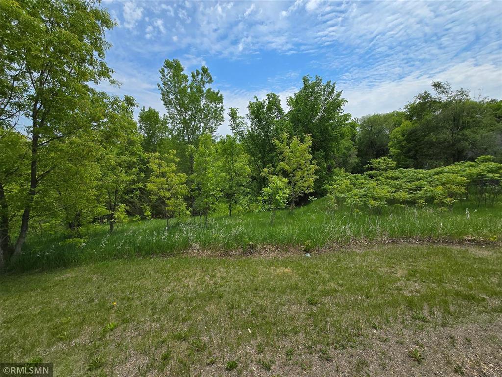 72569 243rd Street Dassel MN 55325 6685190 image1