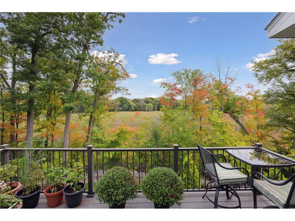 726 Woodland Hill Court Medina MN 55340 7027747 image61
