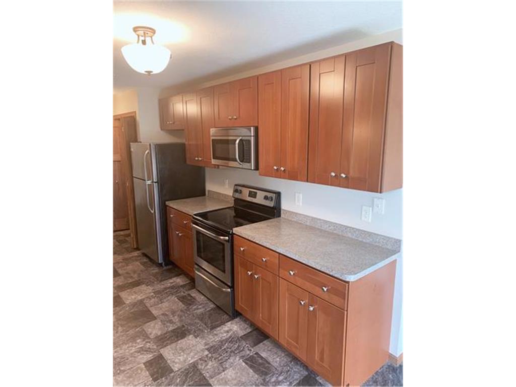 7279 147th Lane NW Ramsey MN 55303 7088696 image8