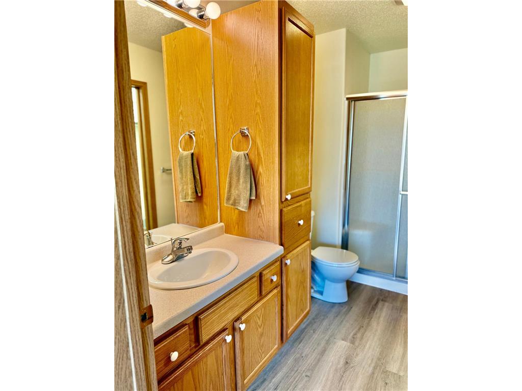 728 Cloud Street NW Bemidji MN 56601 7097009 image17