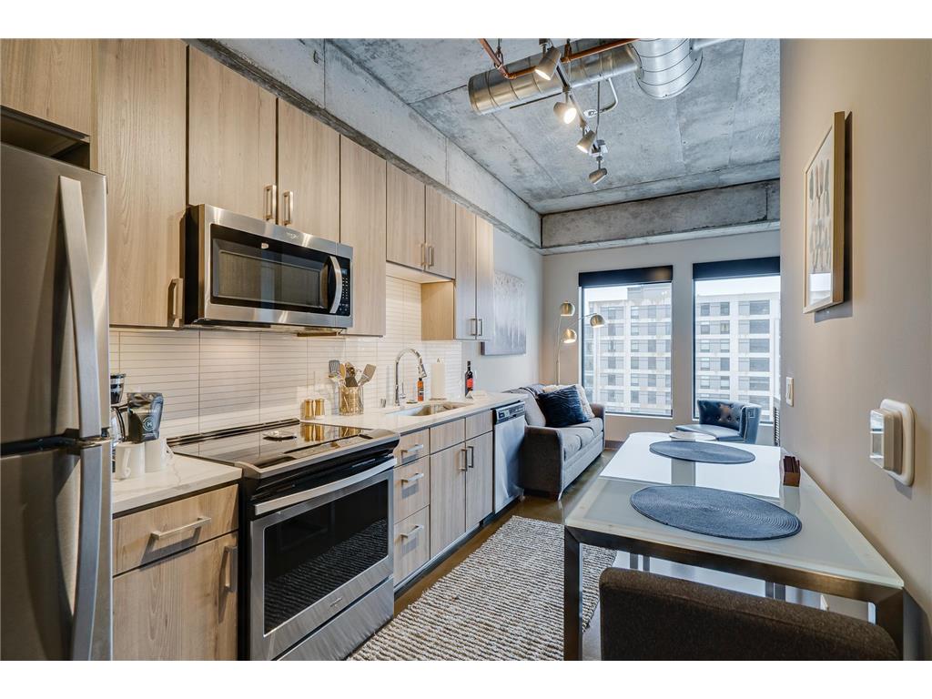 728 N 3rd Street #507 Minneapolis MN 55401 6765020 image1