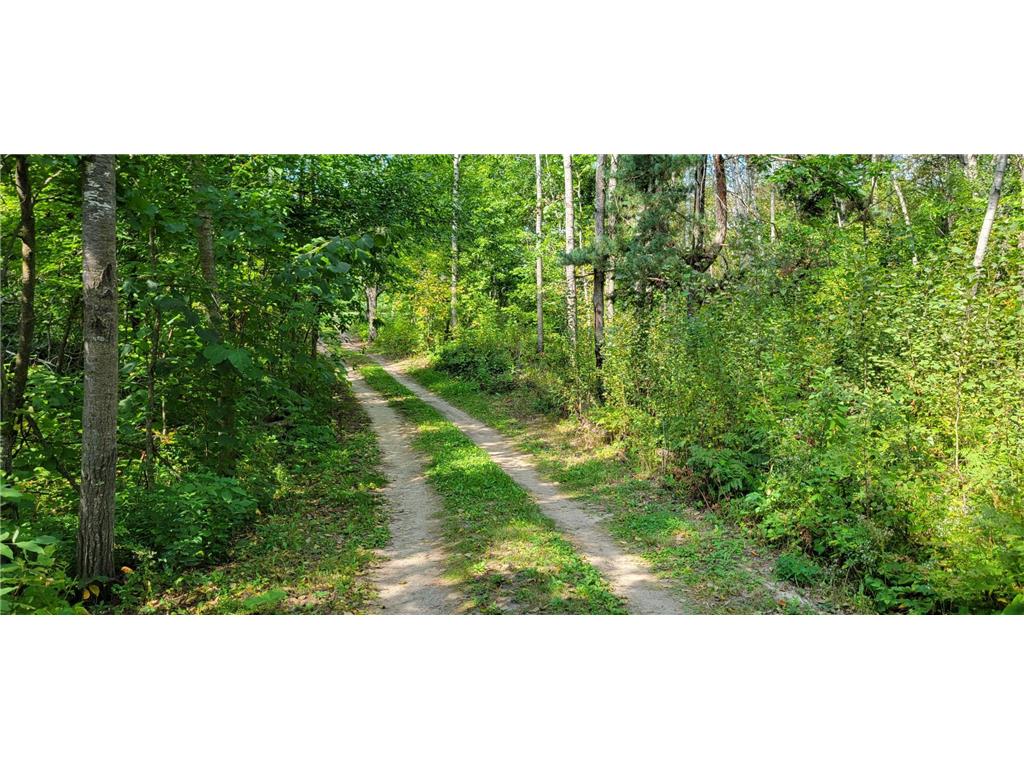 7280 County Road 8 NE Boy Lake Twp MN 56655 - Town Line 6505387 image14