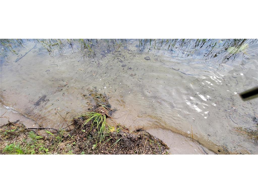 7280 County Road 8 NE Boy Lake Twp MN 56655 - Town Line 6505387 image4