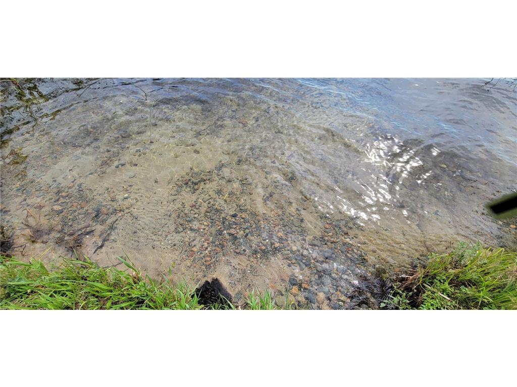 7280 County Road 8 NE Boy Lake Twp MN 56655 - Town Line 6505387 image7